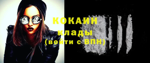 твердый Алексин