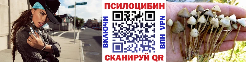 Галлюциногенные грибы Cubensis Евпатория